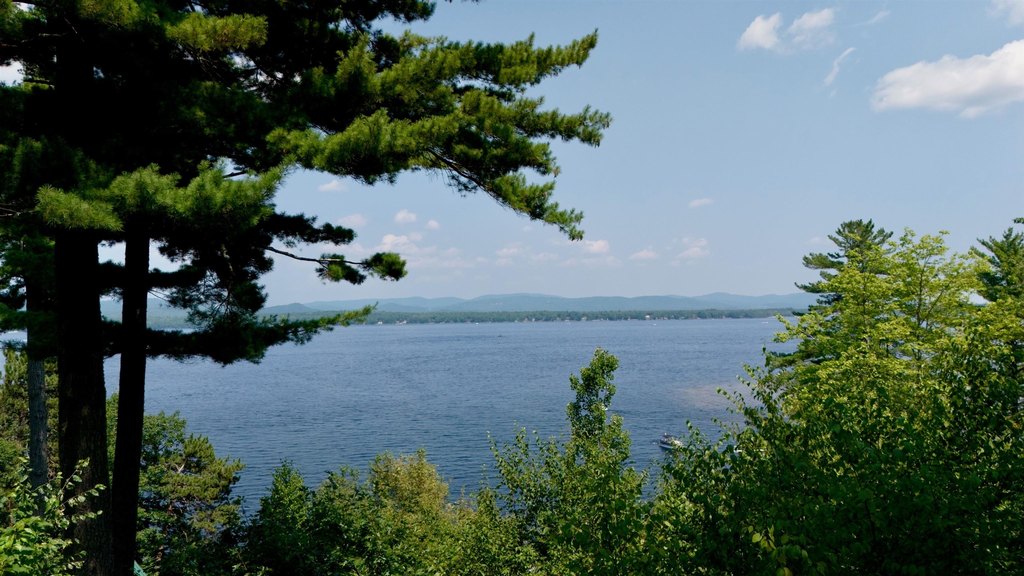 Ossipee, New Hampshire, 03814, United States, 3 Bedrooms Bedrooms, ,2.5 BathroomsBathrooms,Residential,Forsale,1941244