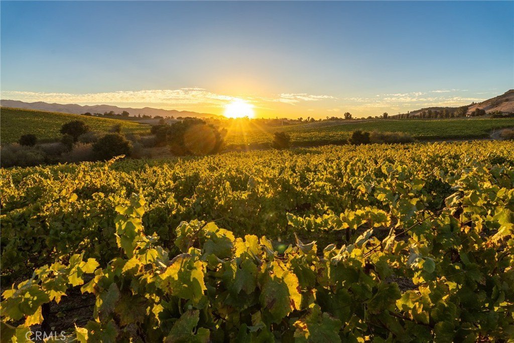 San Luis Obispo, California, 93401, United States, ,Land,Forsale,1929249