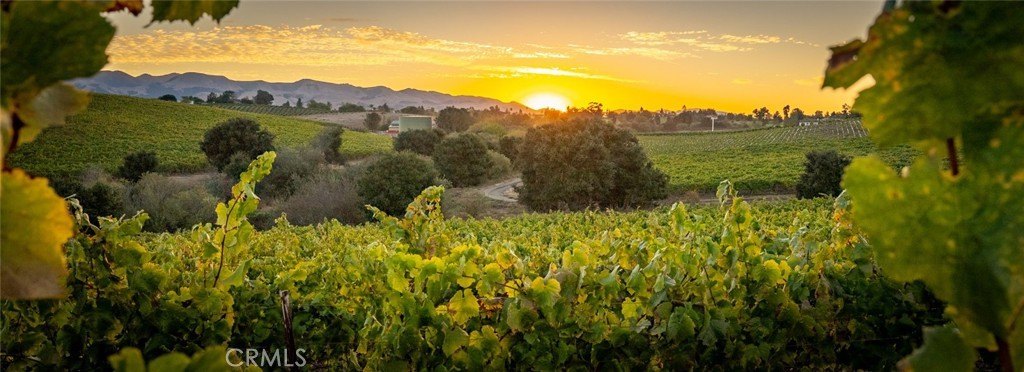 San Luis Obispo, California, 93401, United States, ,Land,Forsale,1929249