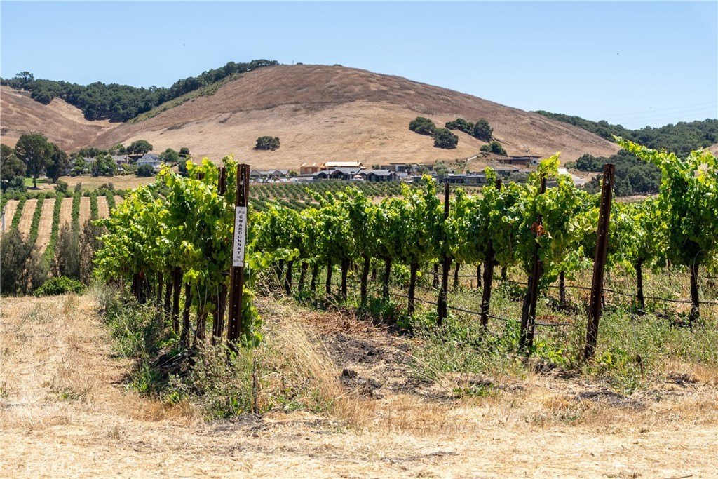 San Luis Obispo, California, 93401, United States, ,Land,Forsale,1929249
