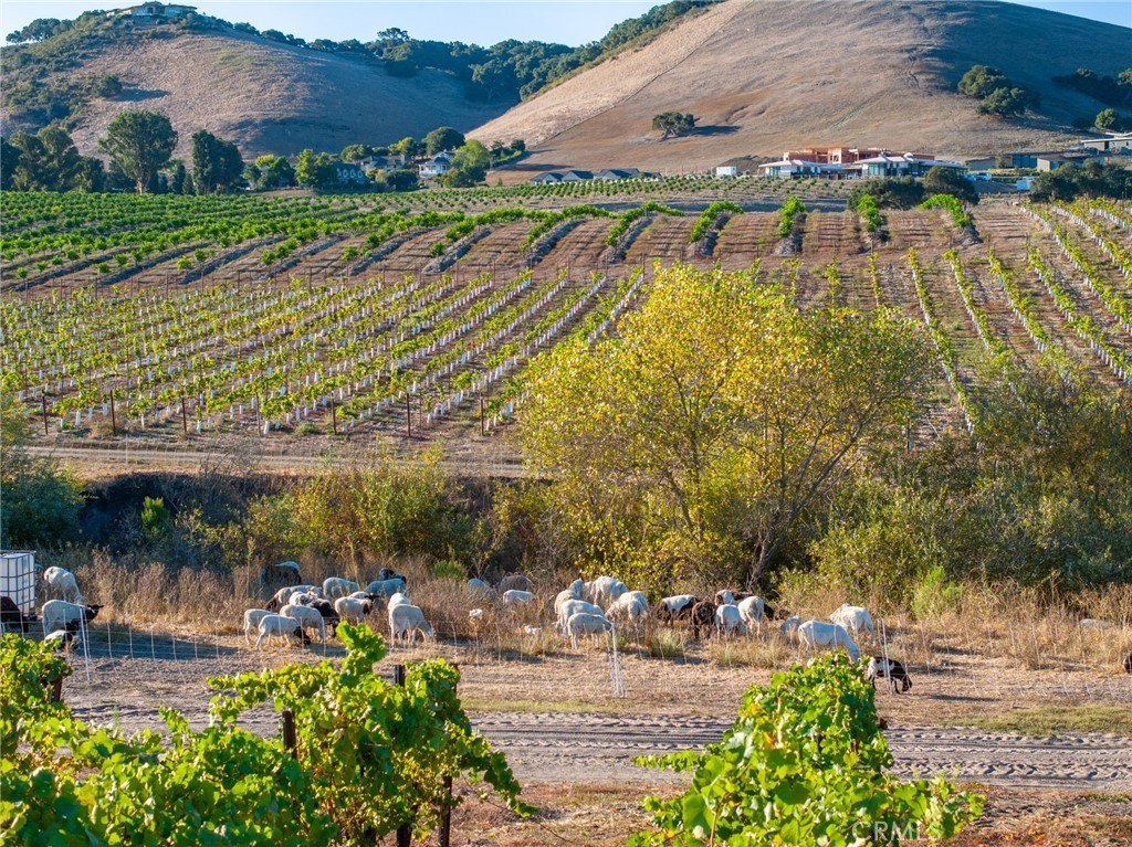San Luis Obispo, California, 93401, United States, ,Land,Forsale,1929249