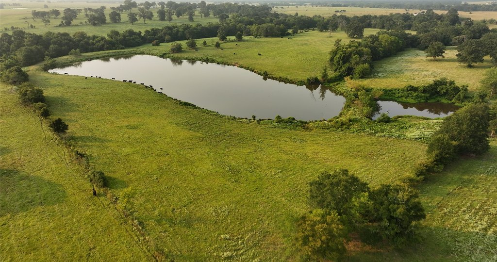 Midway, Texas, 75852, United States, ,Residential,Forsale,1936472