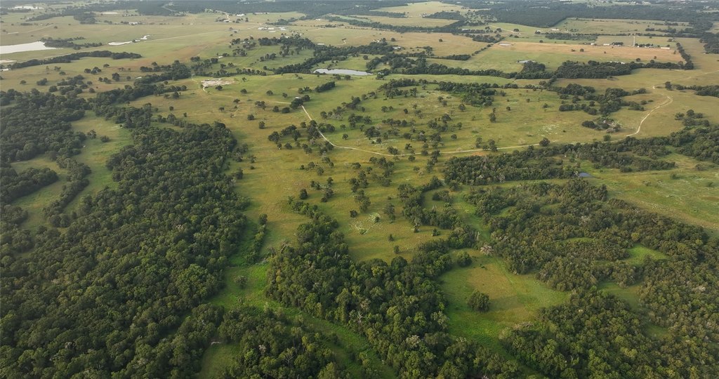 Midway, Texas, 75852, United States, ,Residential,Forsale,1936472