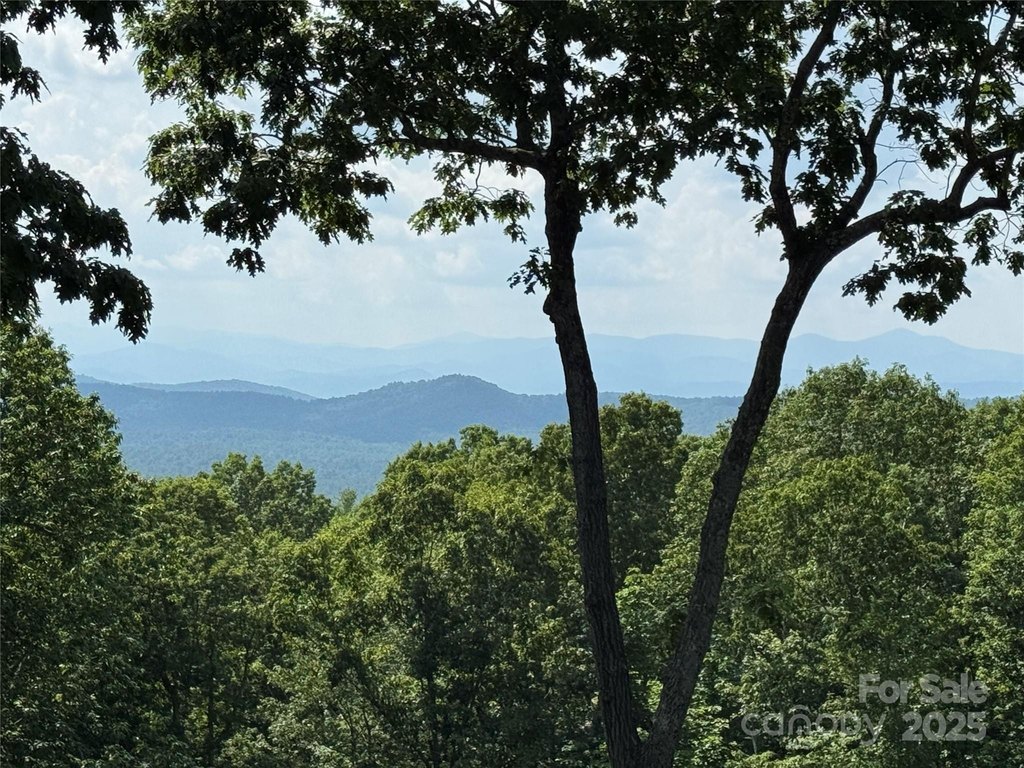 Flat Rock, North Carolina, 28731, United States, 3 Bedrooms Bedrooms, ,4.5 BathroomsBathrooms,Residential,Forsale,1904902