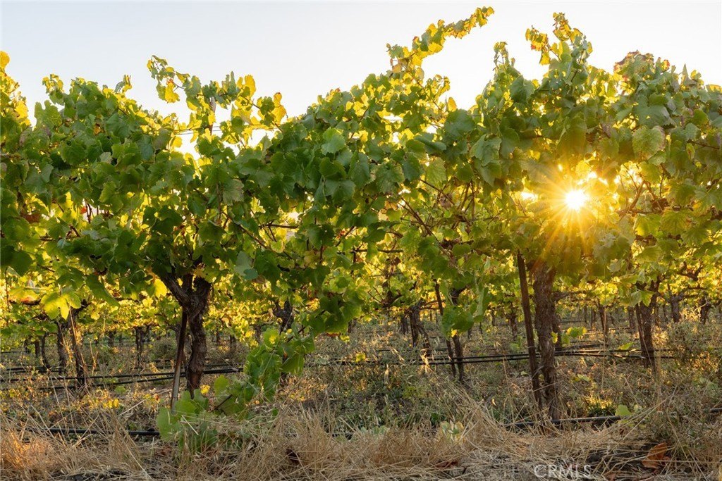 San Luis Obispo, California, 93401, United States, ,Land,Forsale,1929249