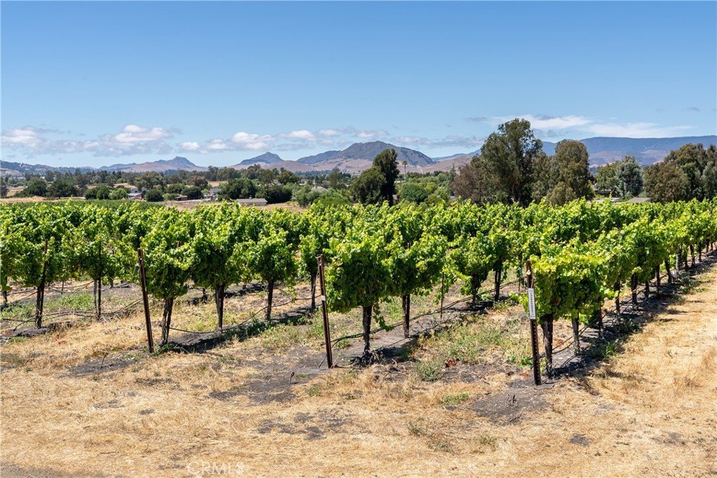 San Luis Obispo, California, 93401, United States, ,Land,Forsale,1929249