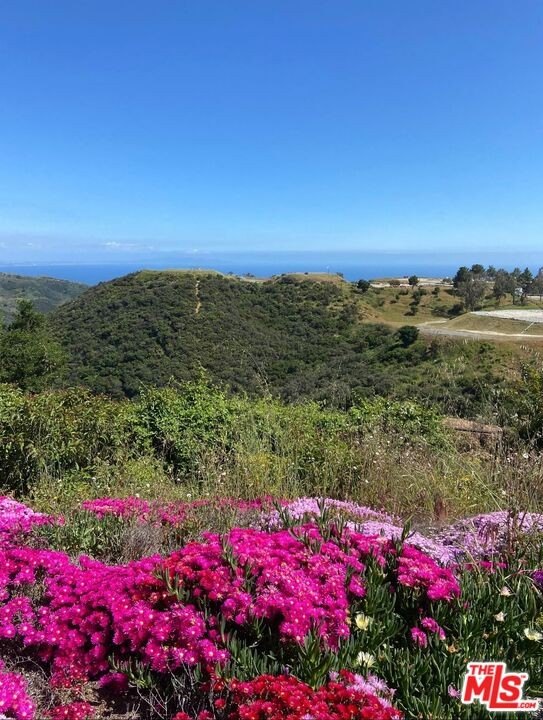 Malibu, California, 90265, United States, ,Land,Forsale,1985961