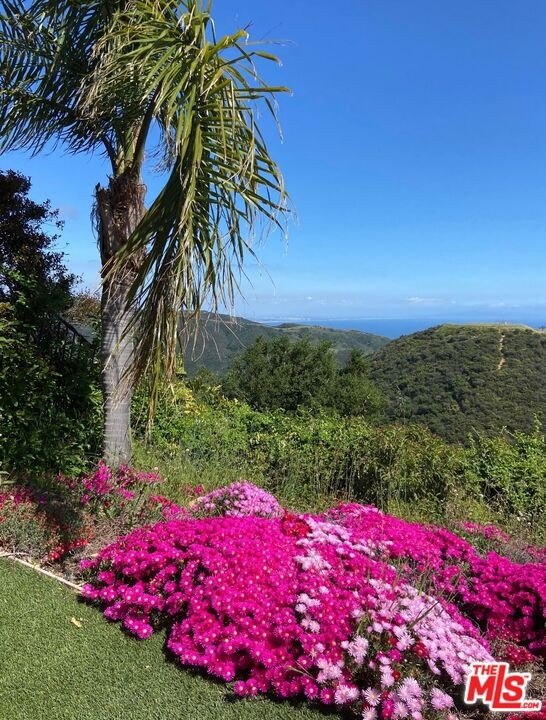 Malibu, California, 90265, United States, ,Land,Forsale,1985961