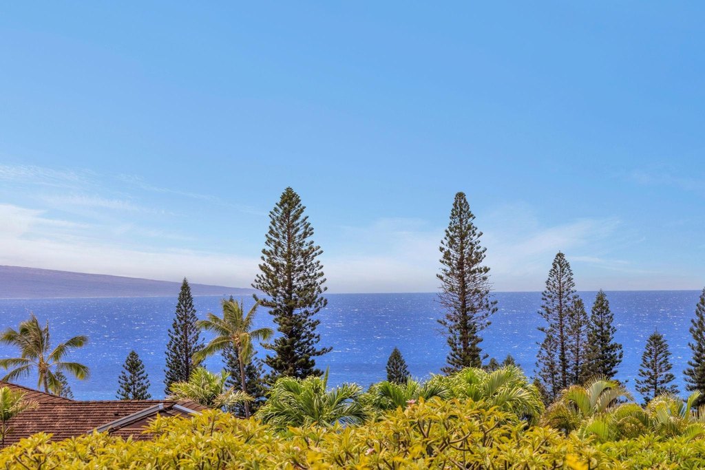 Lahaina, Hawaii, 96761, United States, 1 Bedroom Bedrooms, ,1 BathroomBathrooms,Residential,Forsale,1990121