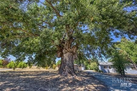 Lakeport, California, 95453, United States, 3 Bedrooms Bedrooms, ,2 BathroomsBathrooms,Residential,Forsale,1934038