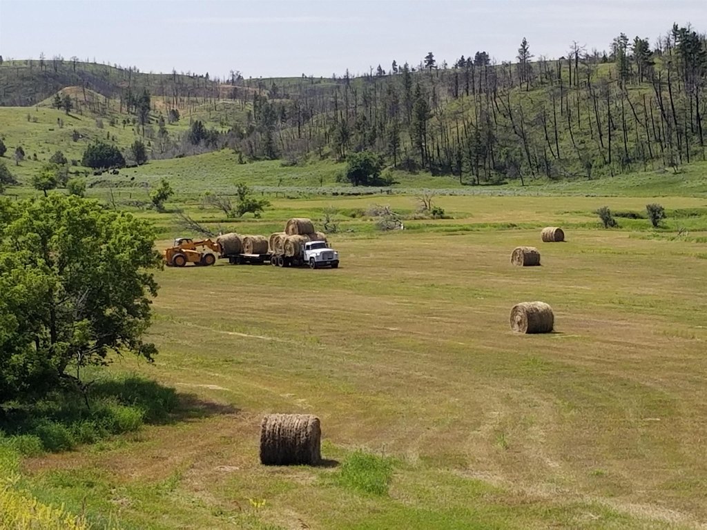Upton, Wyoming, 82729, United States, 4 Bedrooms Bedrooms, ,3 BathroomsBathrooms,Residential,Forsale,1946266