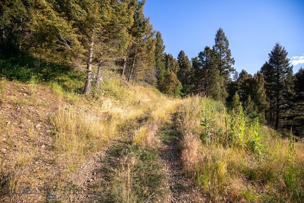 Sheridan, Montana, 59749, United States, 1 Bedroom Bedrooms, ,2 BathroomsBathrooms,Residential,Forsale,1986962