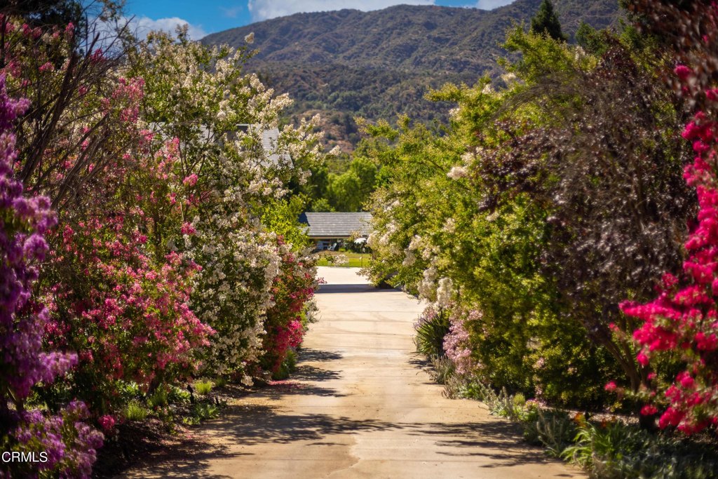 Ojai, California, 93023, United States, 5 Bedrooms Bedrooms, ,5.5 BathroomsBathrooms,Residential,Forsale,1963627