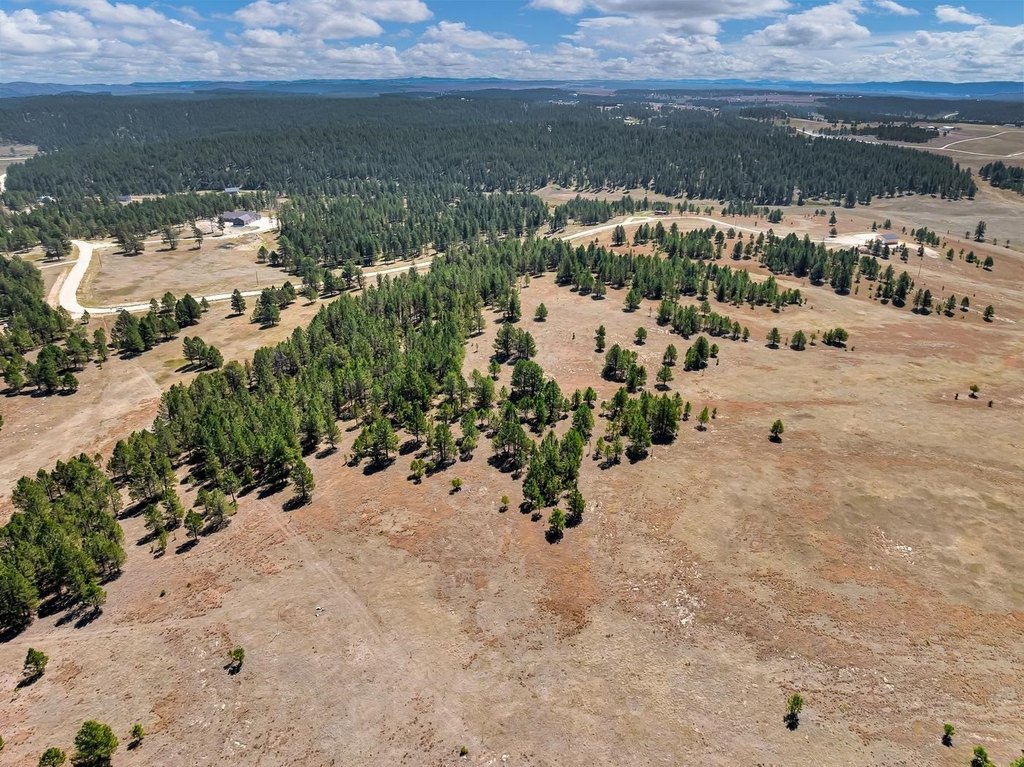 Custer, South Dakota, 57730, United States, ,Land,Forsale,2004154