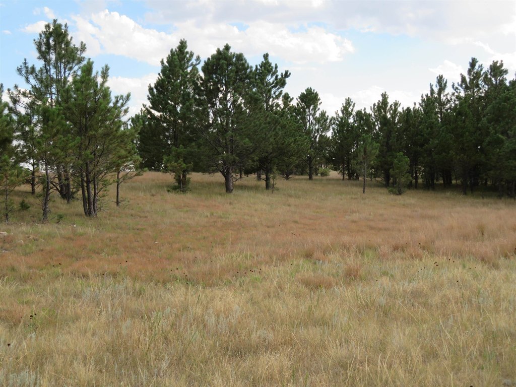 Custer, South Dakota, 57730, United States, ,Land,Forsale,2004154