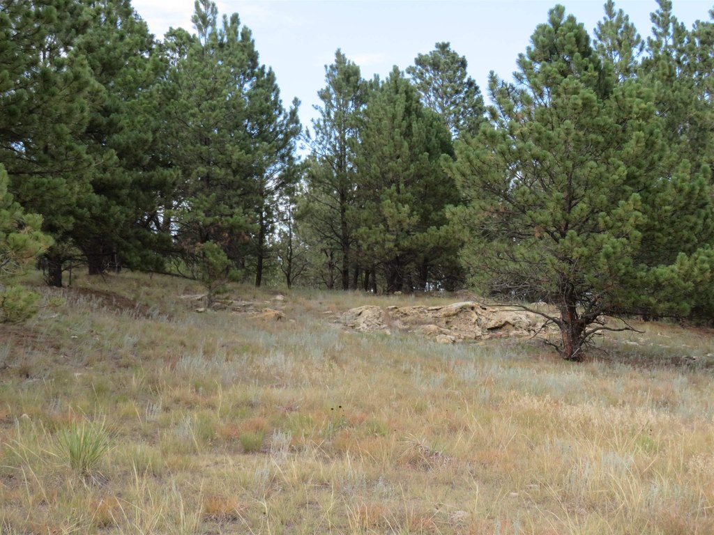 Custer, South Dakota, 57730, United States, ,Land,Forsale,2004154