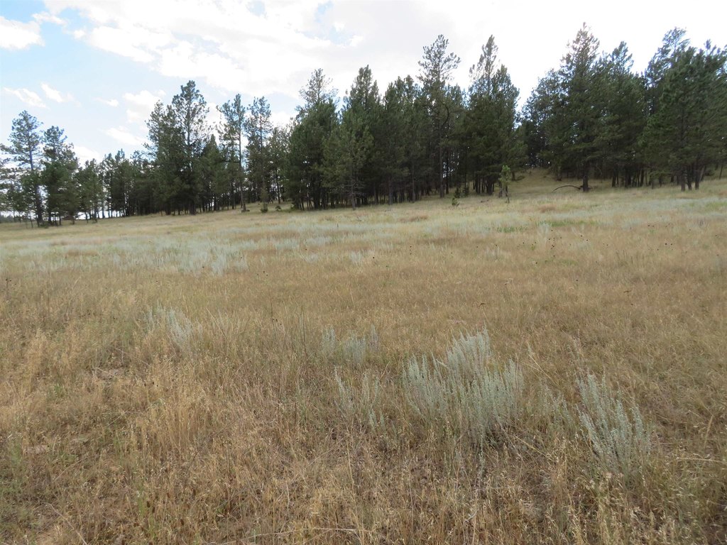 Custer, South Dakota, 57730, United States, ,Land,Forsale,2004154