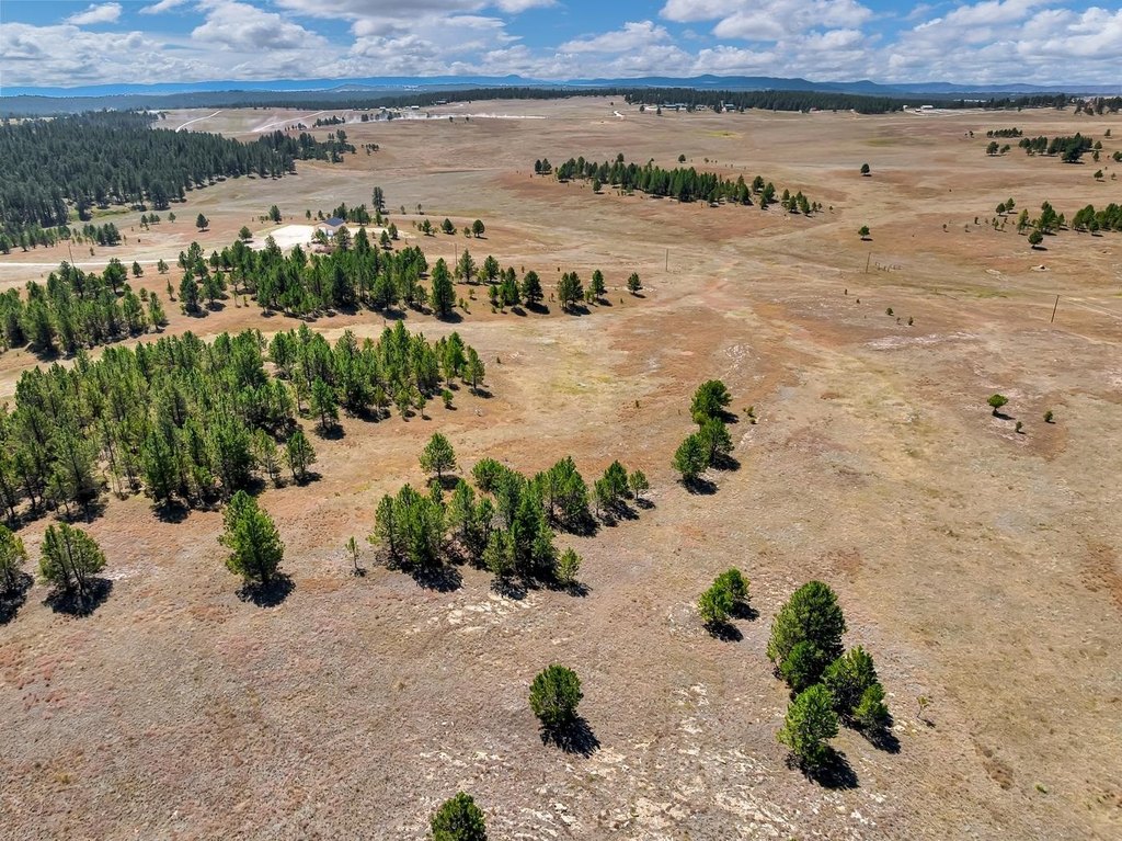 Custer, South Dakota, 57730, United States, ,Land,Forsale,2004154