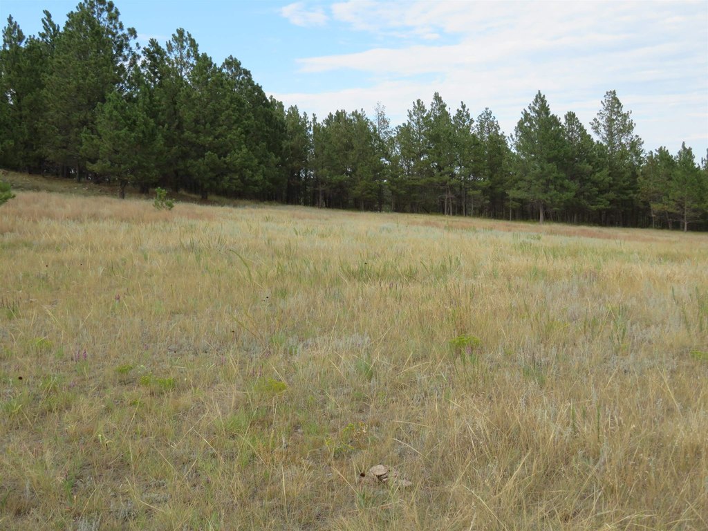 Custer, South Dakota, 57730, United States, ,Land,Forsale,2004154