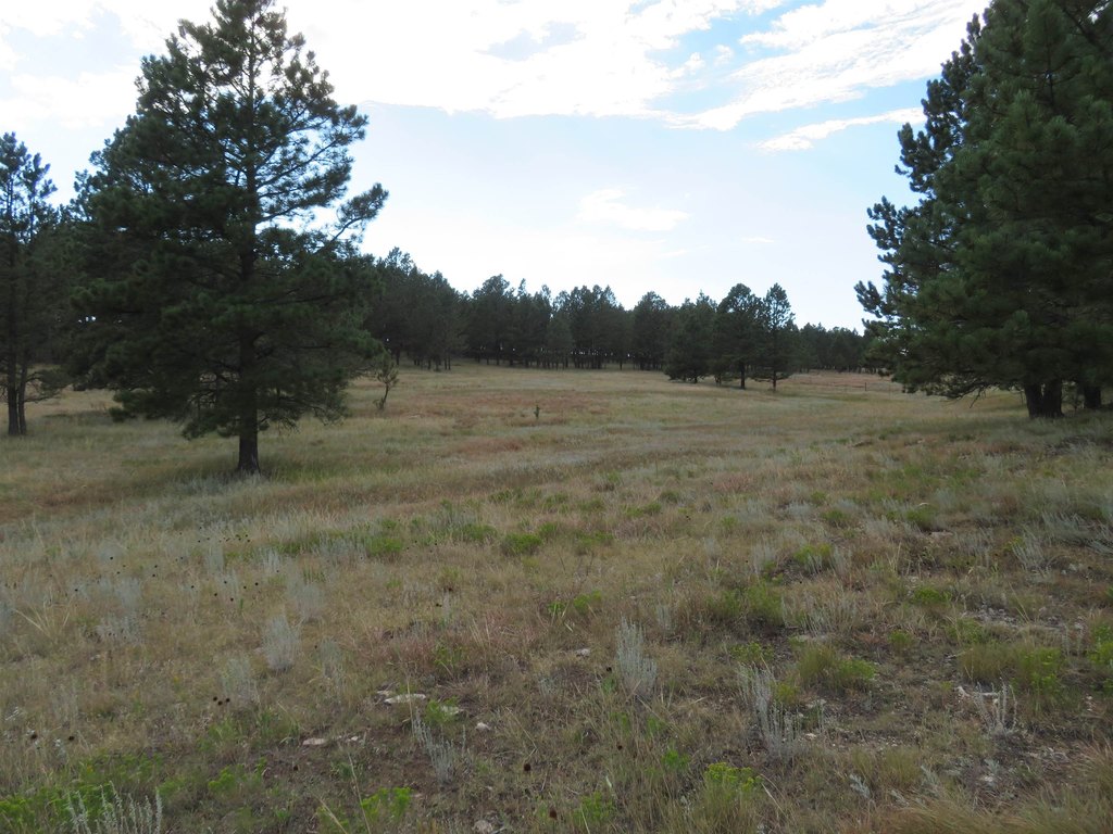 Custer, South Dakota, 57730, United States, ,Land,Forsale,2004154