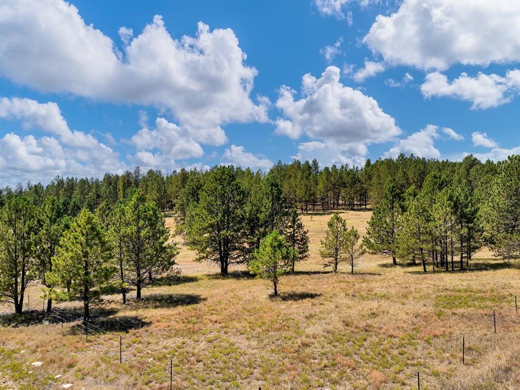 Custer, South Dakota, 57730, United States, ,Land,Forsale,2004154