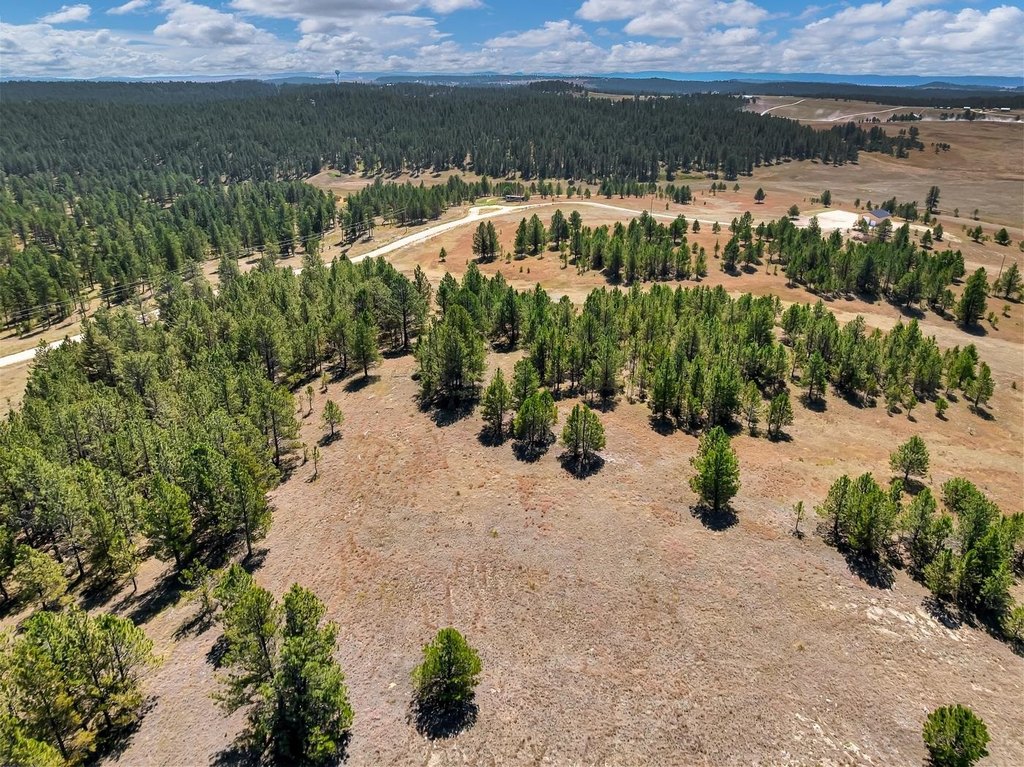 Custer, South Dakota, 57730, United States, ,Land,Forsale,2004154