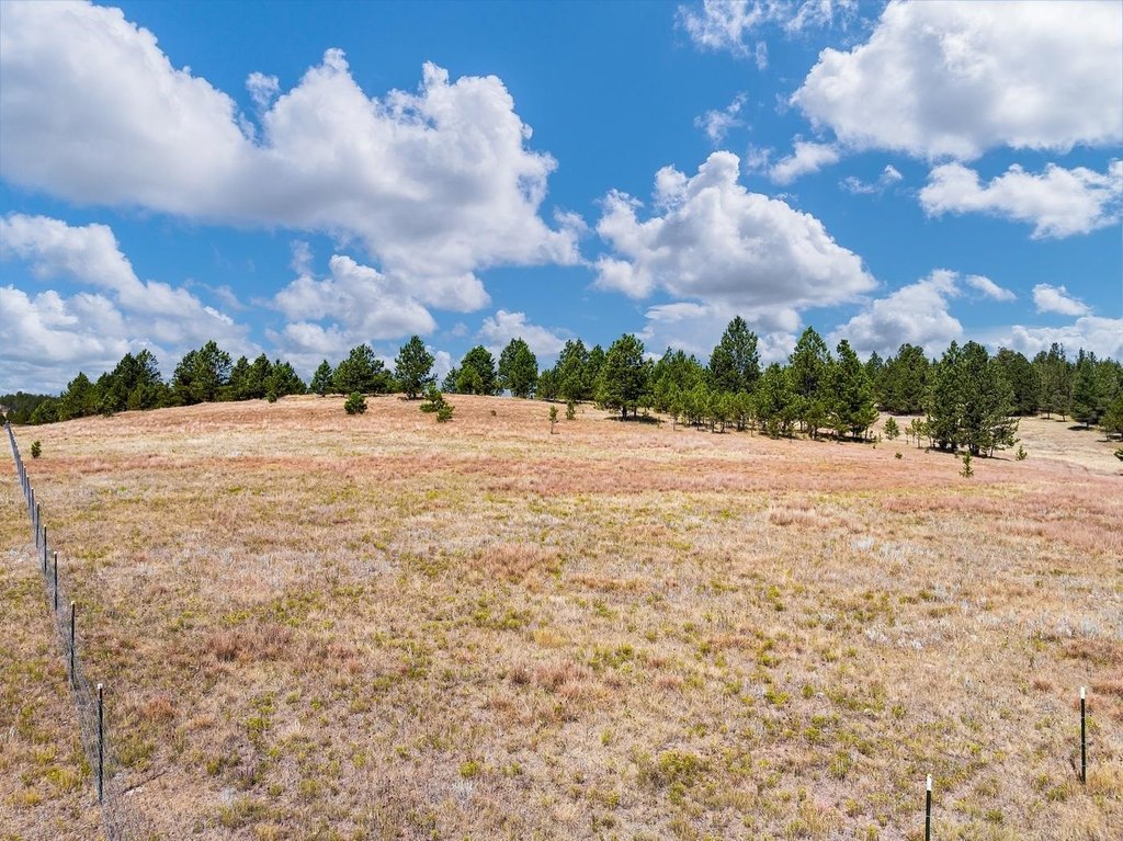 Custer, South Dakota, 57730, United States, ,Land,Forsale,2004154