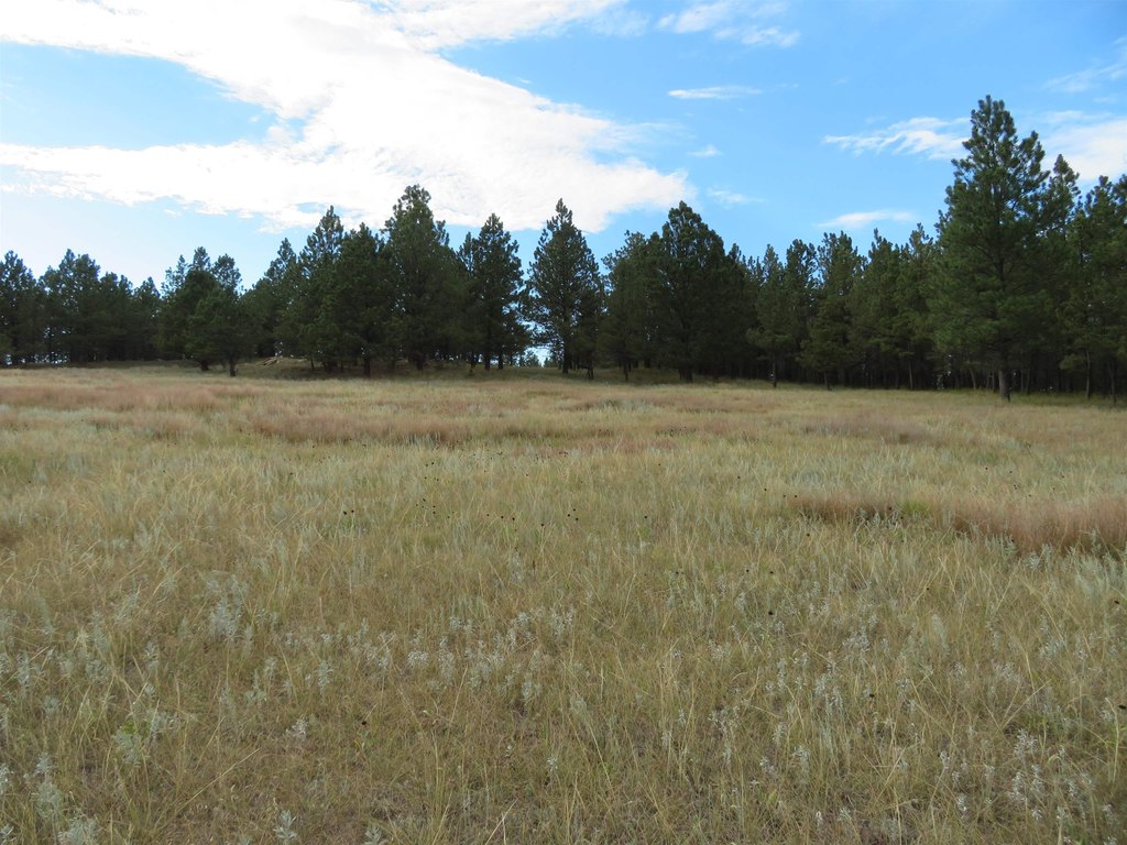 Custer, South Dakota, 57730, United States, ,Land,Forsale,2004154