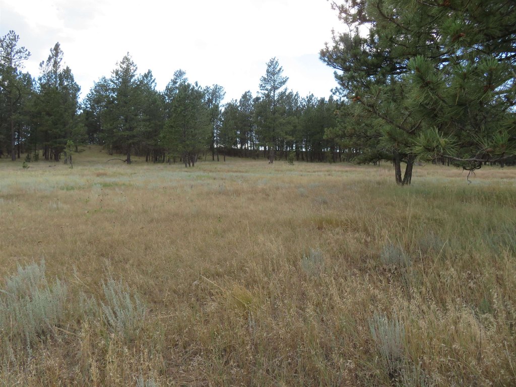 Custer, South Dakota, 57730, United States, ,Land,Forsale,2004154