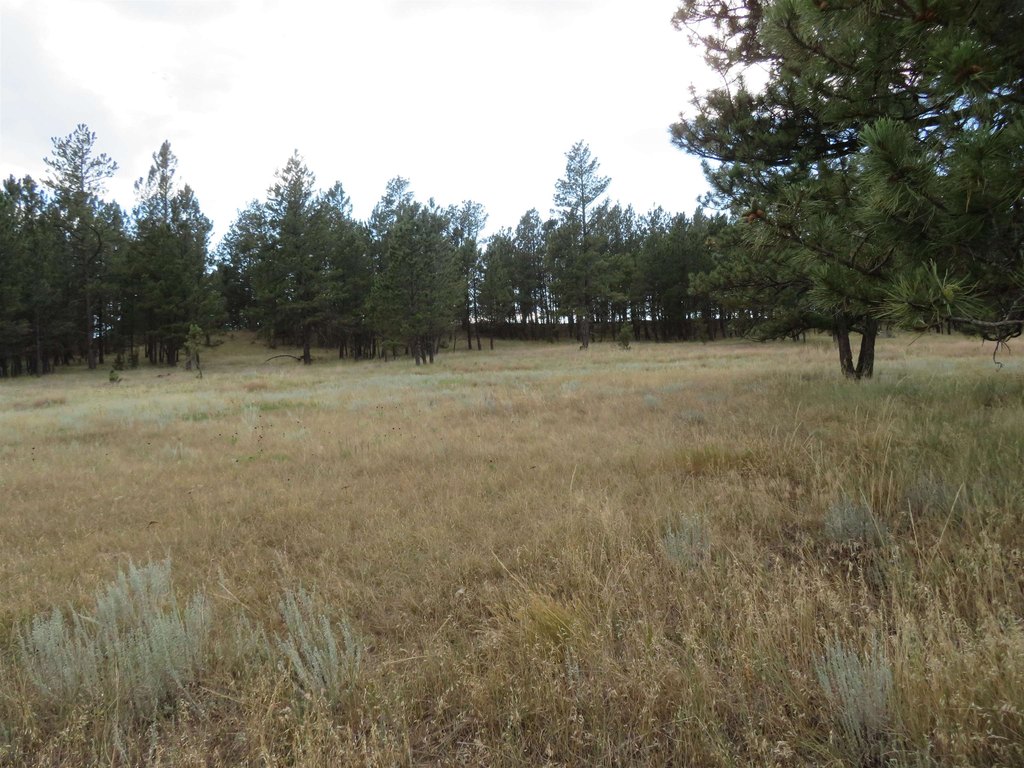 Custer, South Dakota, 57730, United States, ,Land,Forsale,2004154