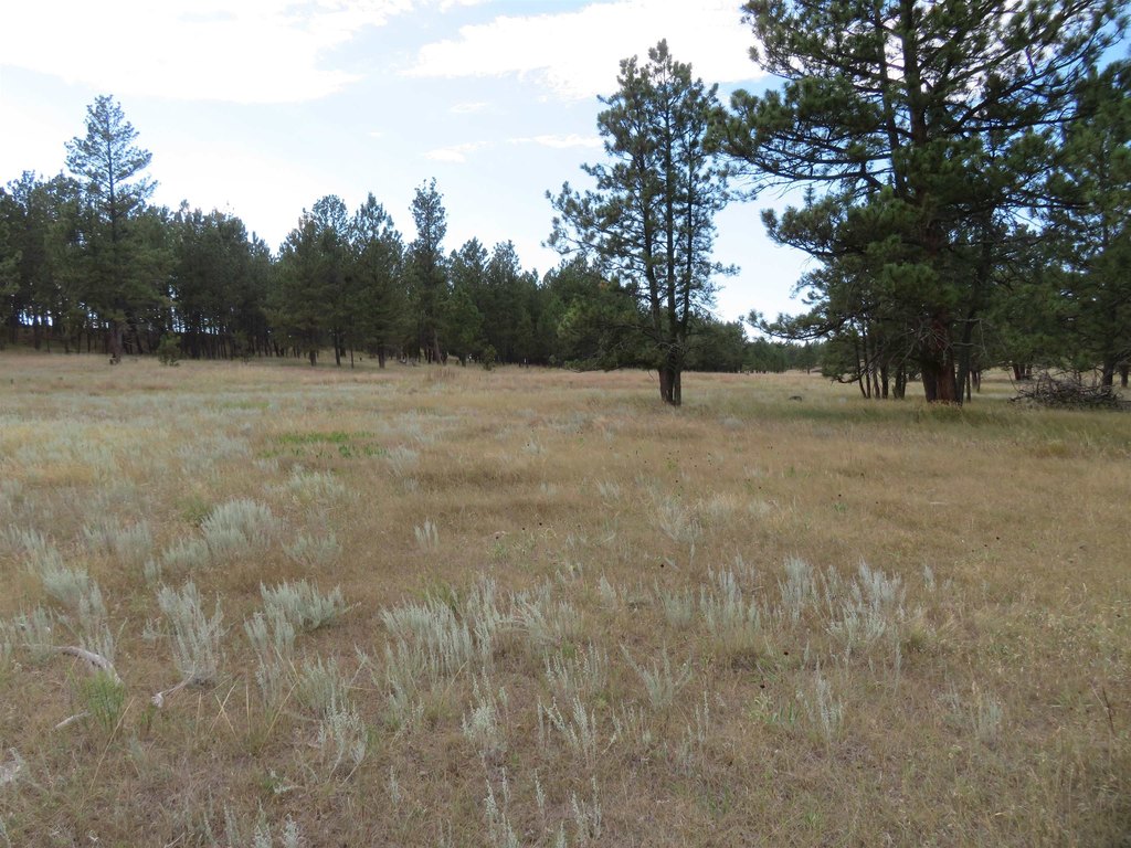 Custer, South Dakota, 57730, United States, ,Land,Forsale,2004154