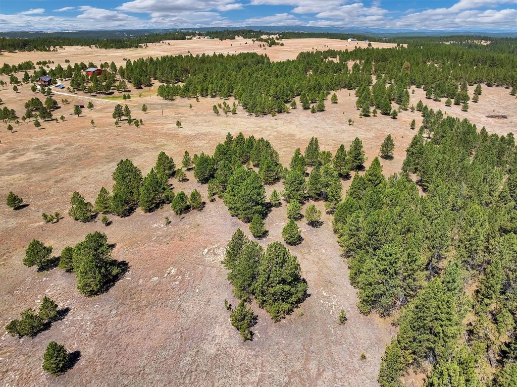 Custer, South Dakota, 57730, United States, ,Land,Forsale,2004154