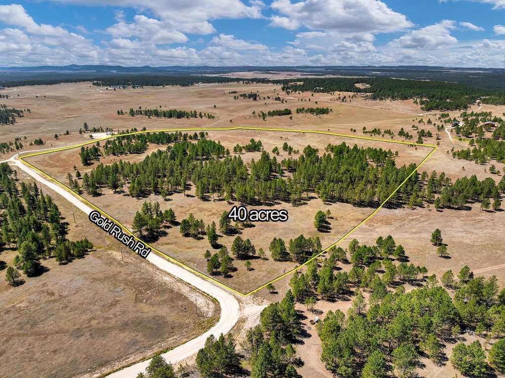 Custer, South Dakota, 57730, United States, ,Land,Forsale,2004154