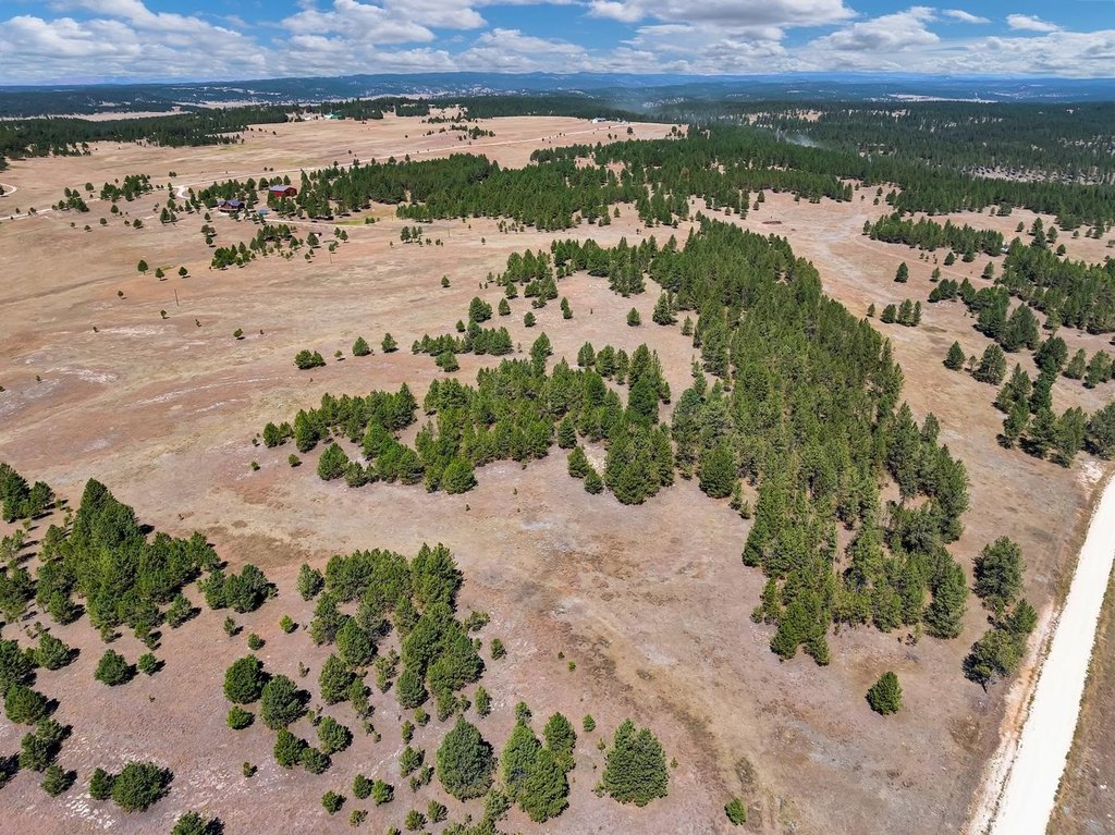 Custer, South Dakota, 57730, United States, ,Land,Forsale,2004154