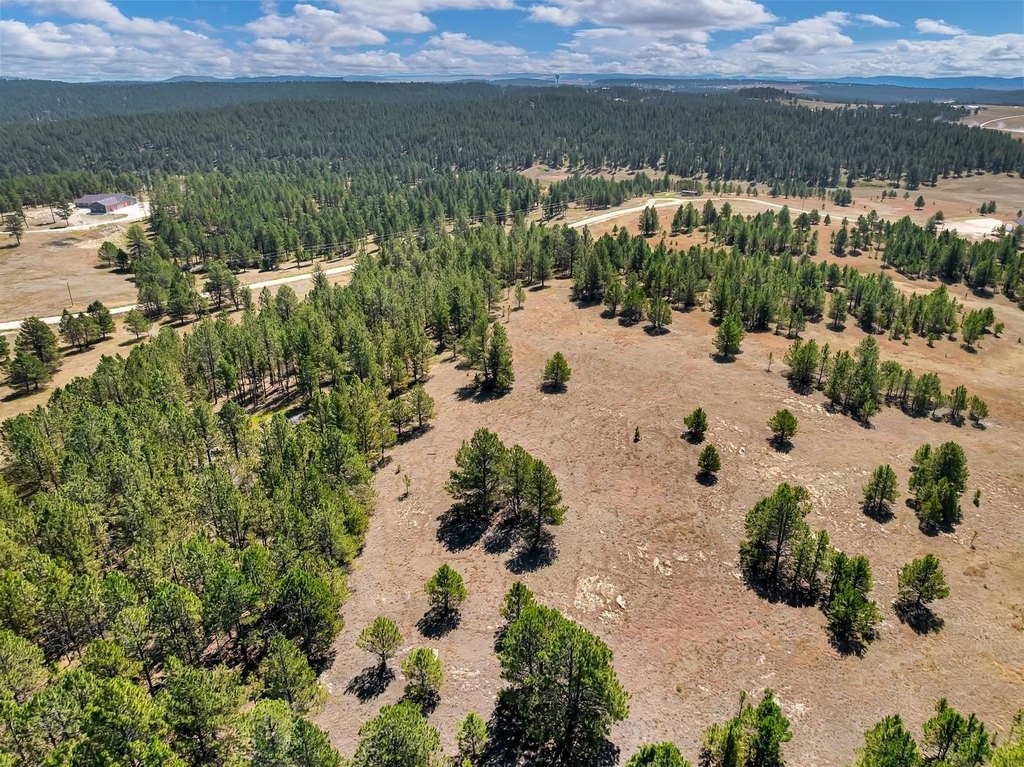 Custer, South Dakota, 57730, United States, ,Land,Forsale,2004154