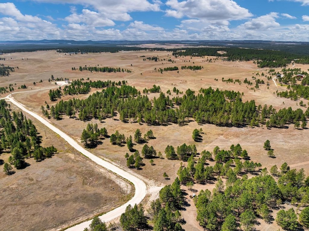 Custer, South Dakota, 57730, United States, ,Land,Forsale,2004154