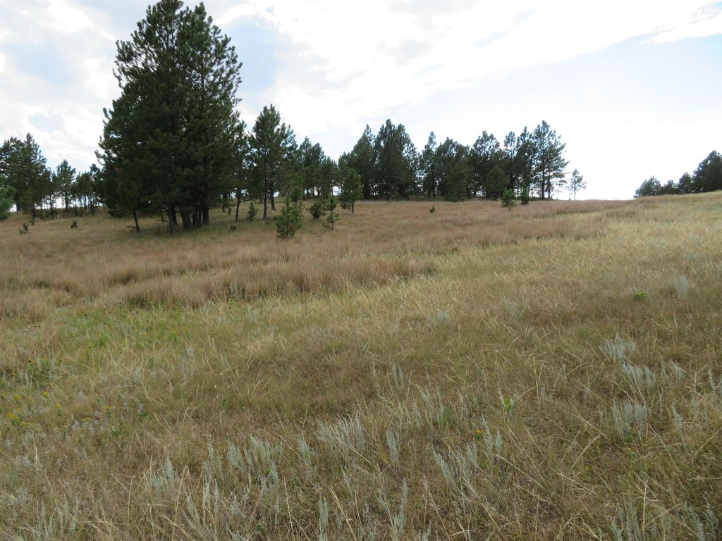 Custer, South Dakota, 57730, United States, ,Land,Forsale,2004154