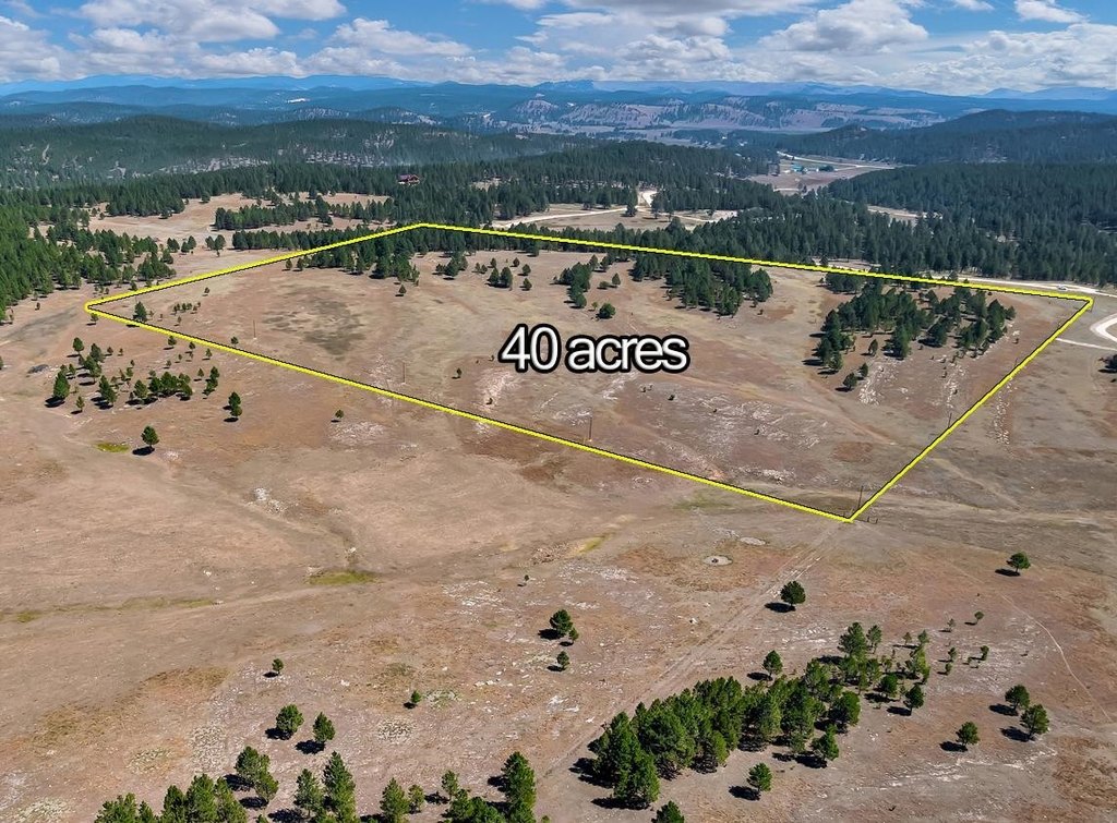 Custer, South Dakota, 57730, United States, ,Land,Forsale,2004154