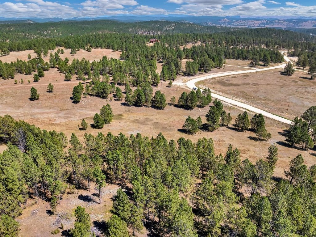 Custer, South Dakota, 57730, United States, ,Land,Forsale,2004154