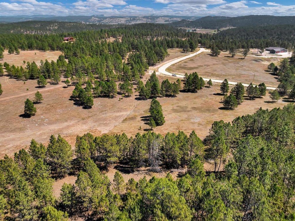 Custer, South Dakota, 57730, United States, ,Land,Forsale,2004154