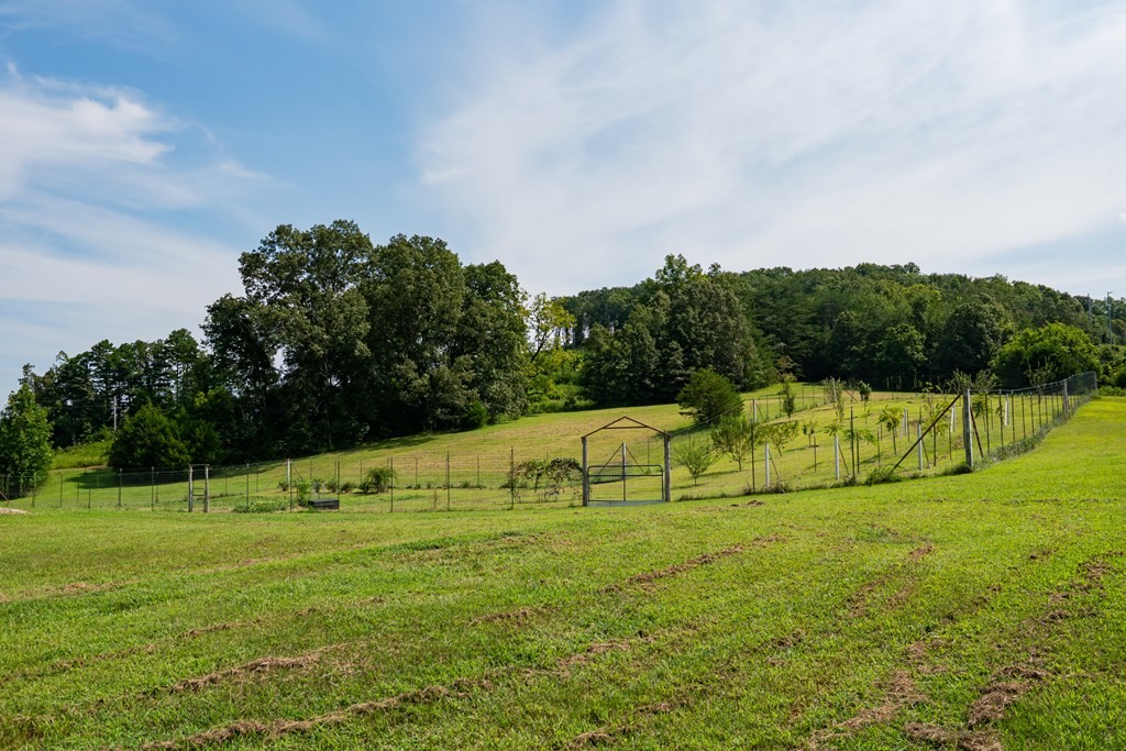 Doyle, Tennessee, 38559, United States, 3 Bedrooms Bedrooms, ,2 BathroomsBathrooms,Residential,Forsale,2010934