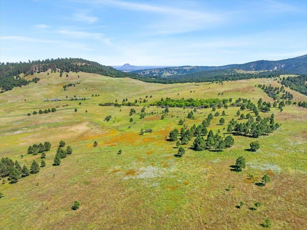 Whitewood, South Dakota, 57793, United States, ,Land,Forsale,1946243