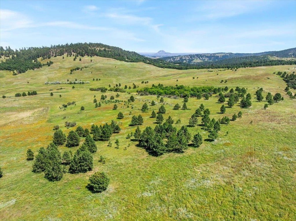 Whitewood, South Dakota, 57793, United States, ,Land,Forsale,1946243