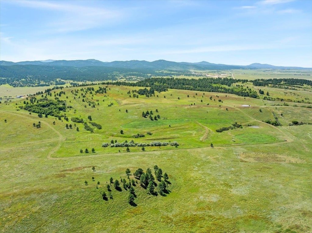 Whitewood, South Dakota, 57793, United States, ,Land,Forsale,1946243