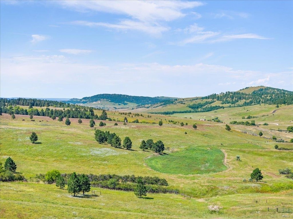 Whitewood, South Dakota, 57793, United States, ,Land,Forsale,1946243