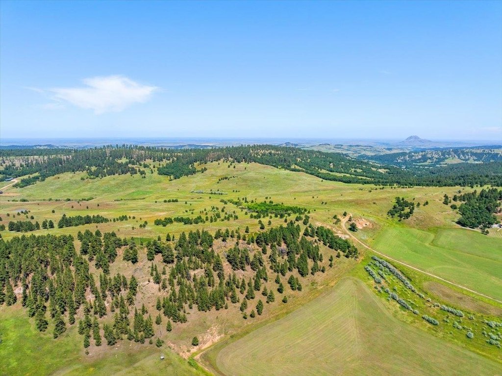 Whitewood, South Dakota, 57793, United States, ,Land,Forsale,1946243