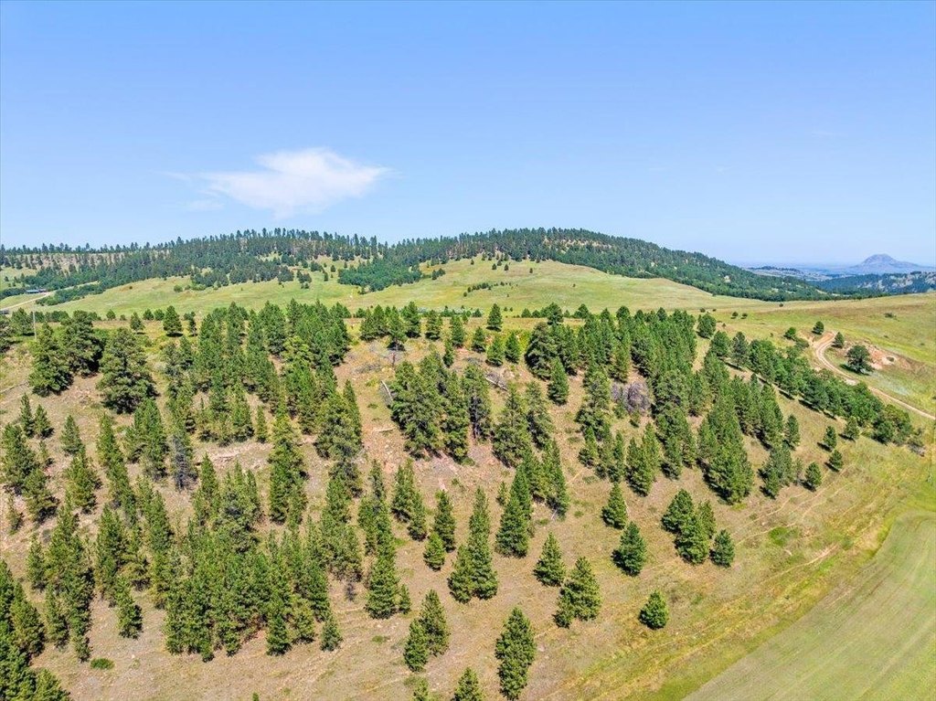 Whitewood, South Dakota, 57793, United States, ,Land,Forsale,1946243