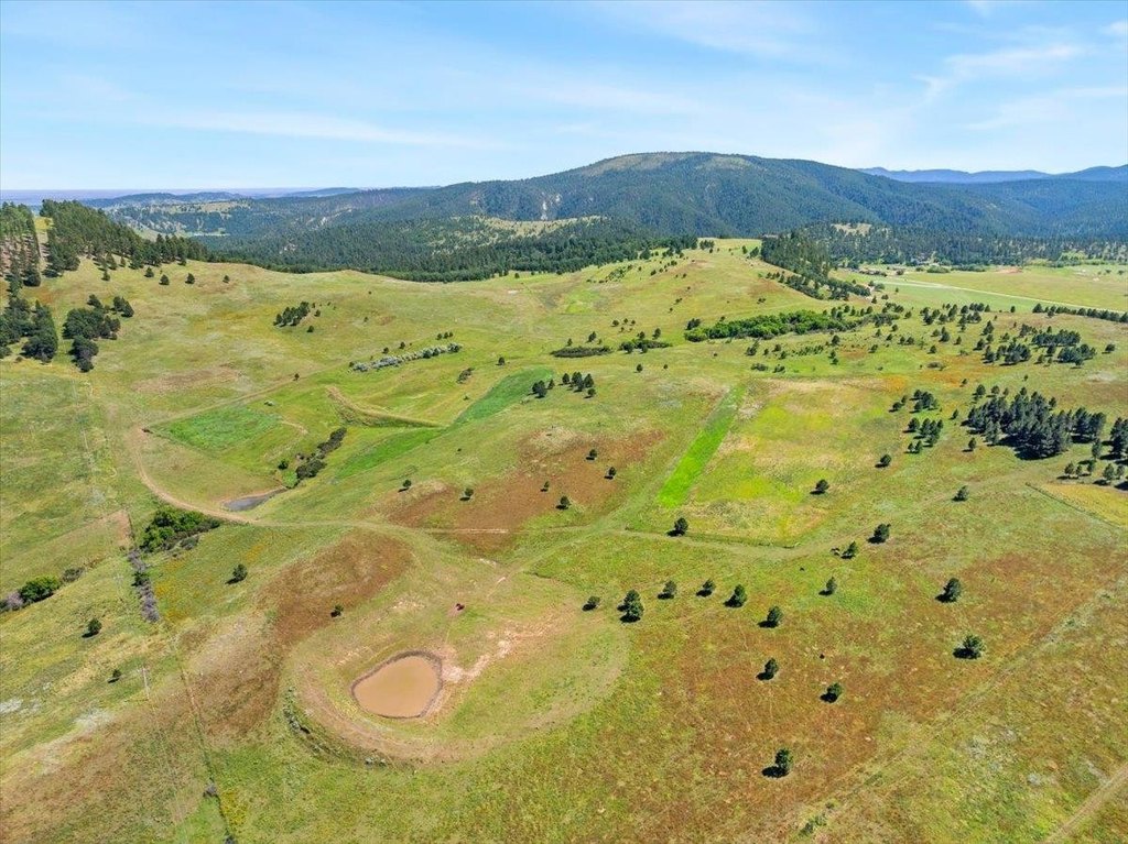 Whitewood, South Dakota, 57793, United States, ,Land,Forsale,1946243