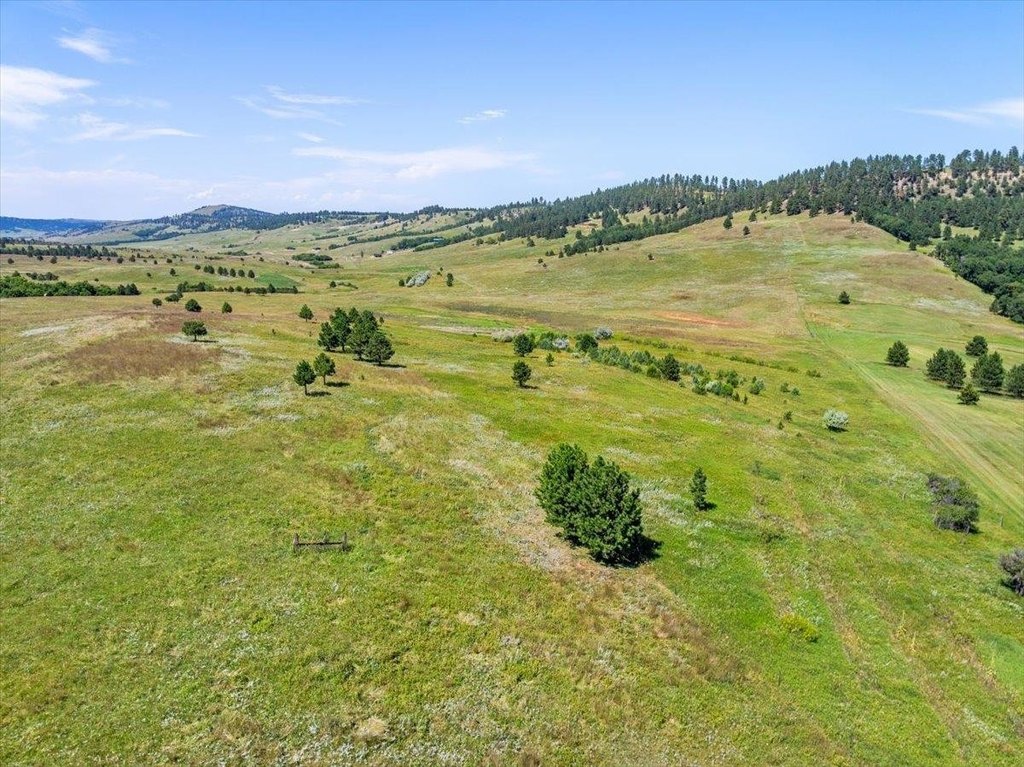 Whitewood, South Dakota, 57793, United States, ,Land,Forsale,1946243