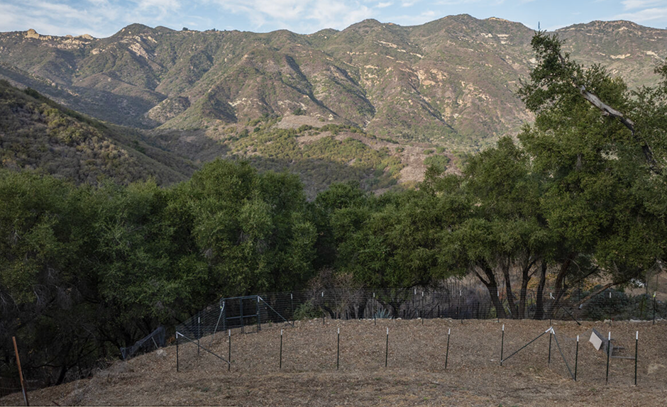 Malibu, California, 90265, United States, ,Land,Forsale,1922154